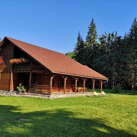 Casa De Vacanta Dintre Brazi Topliţa المظهر الخارجي الصورة