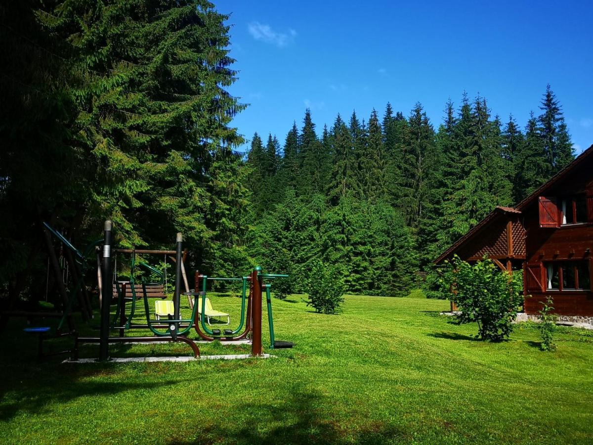 Casa De Vacanta Dintre Brazi Topliţa المظهر الخارجي الصورة