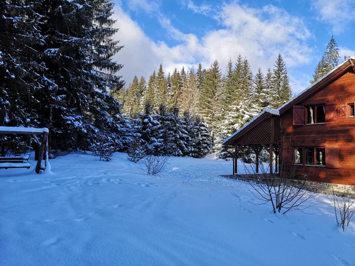 Casa De Vacanta Dintre Brazi Topliţa المظهر الخارجي الصورة