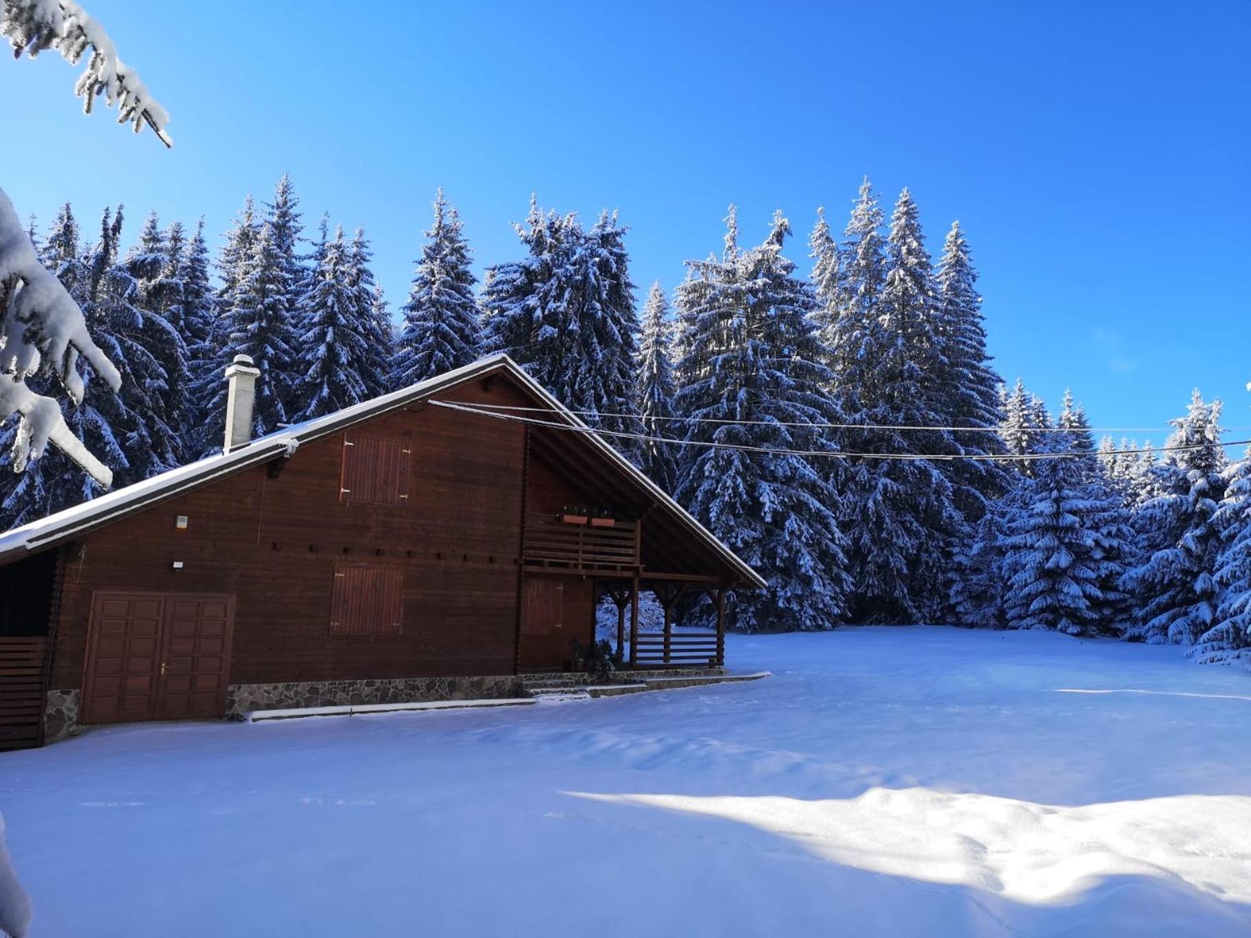 Casa De Vacanta Dintre Brazi Topliţa المظهر الخارجي الصورة